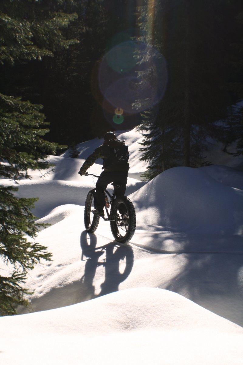 A person riding a fat tire bike through trees near Nelson, BC on a sunny day.